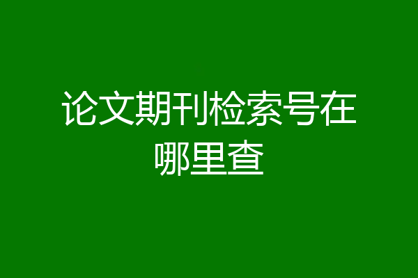 论文期刊检索号在哪里查