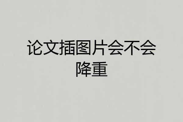 论文插图片会不会降重
