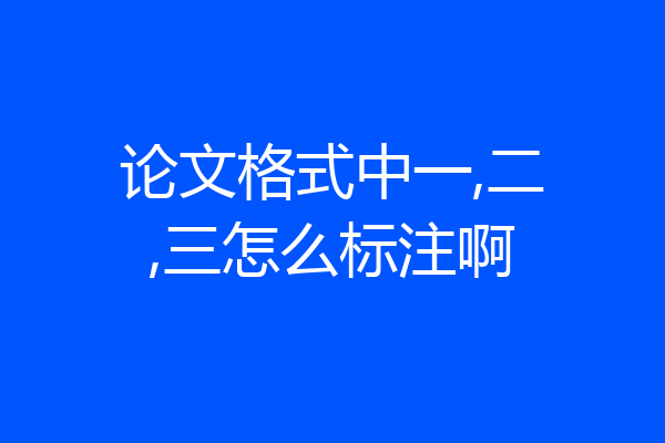 论文格式中一,二,三怎么标注啊