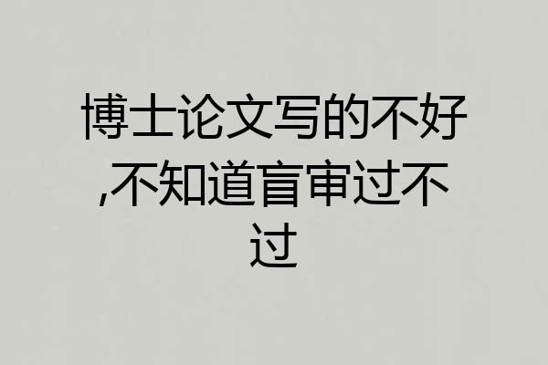 博士论文写的不好,不知道盲审过不过