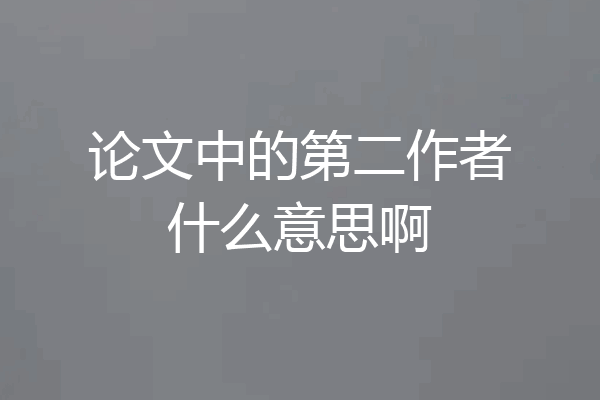 论文中的第二作者什么意思啊