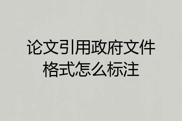 论文引用政府文件格式怎么标注