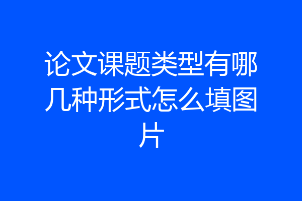 论文课题类型有哪几种形式怎么填图片