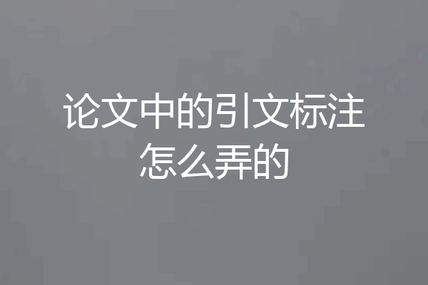 论文中的引文标注怎么弄的