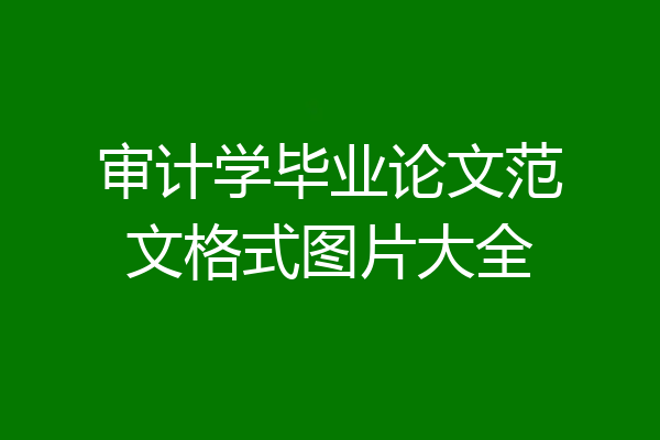 审计学毕业论文范文格式图片大全