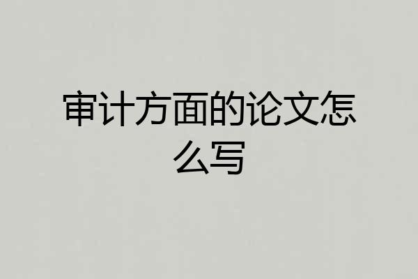 审计方面的论文怎么写