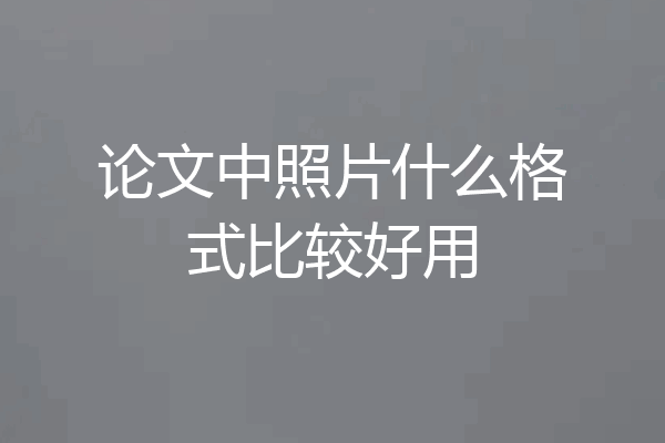 论文中照片什么格式比较好用
