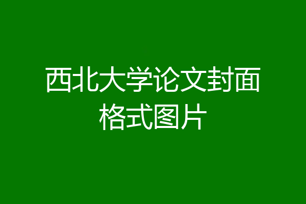 西北大学论文封面格式图片