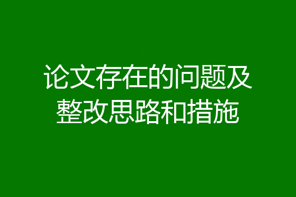 论文存在的问题及整改思路和措施