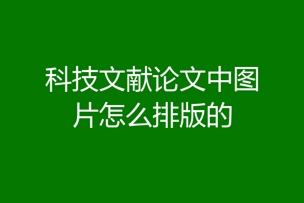 科技文献论文中图片怎么排版的