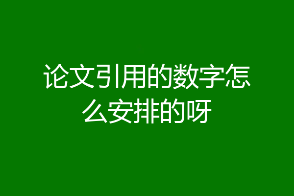 论文引用的数字怎么安排的呀