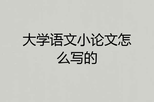 大学语文小论文怎么写的