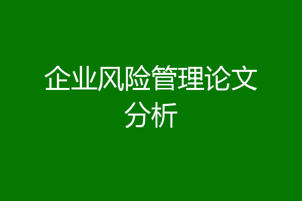 企业风险管理论文分析