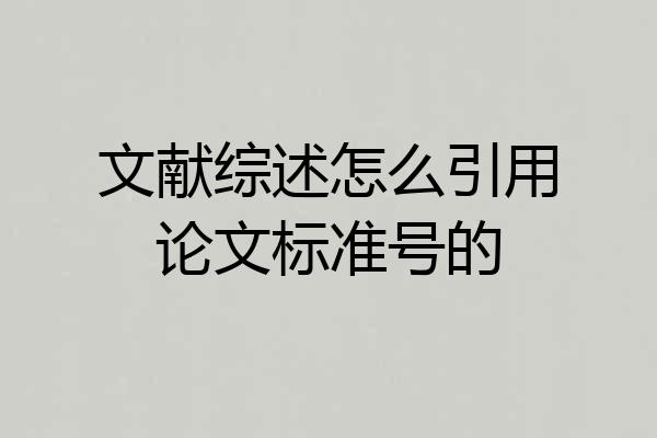 文献综述怎么引用论文标准号的