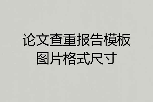 论文查重报告模板图片格式尺寸