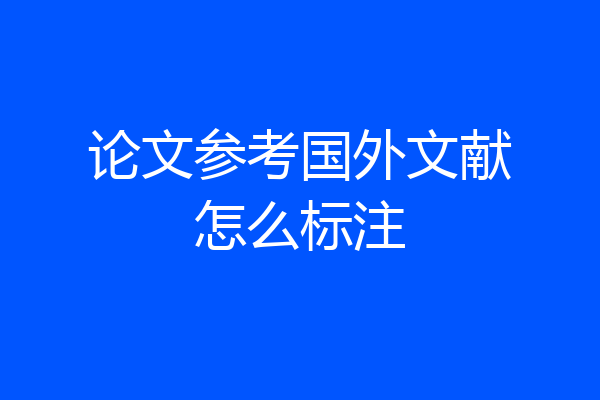 论文参考国外文献怎么标注