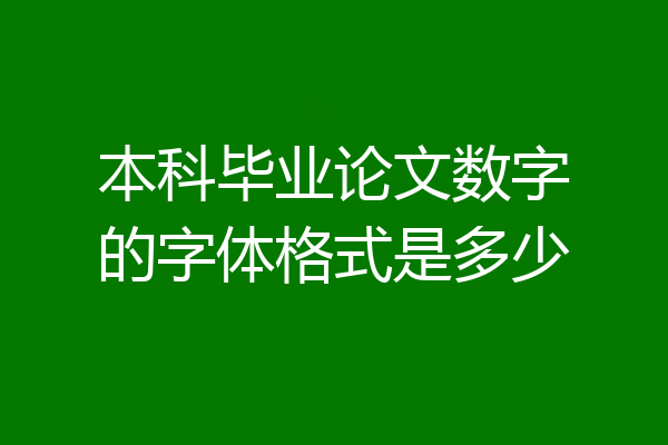 本科毕业论文数字的字体格式是多少