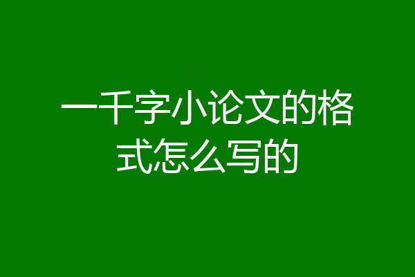 一千字小论文的格式怎么写的