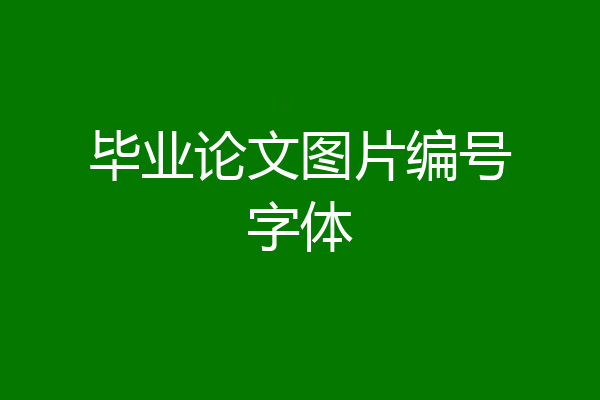毕业论文图片编号字体