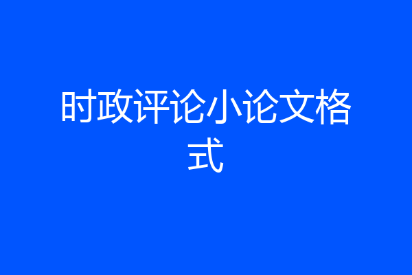 时政评论小论文格式
