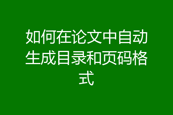如何在论文中自动生成目录和页码格式