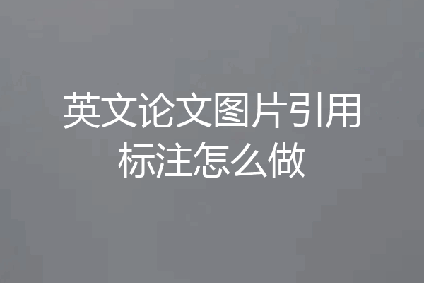 英文论文图片引用标注怎么做