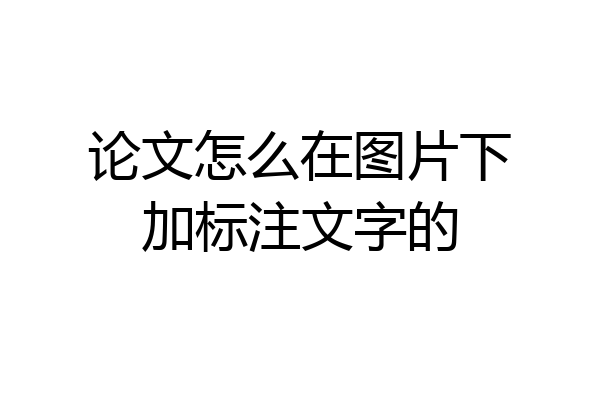 论文怎么在图片下加标注文字的