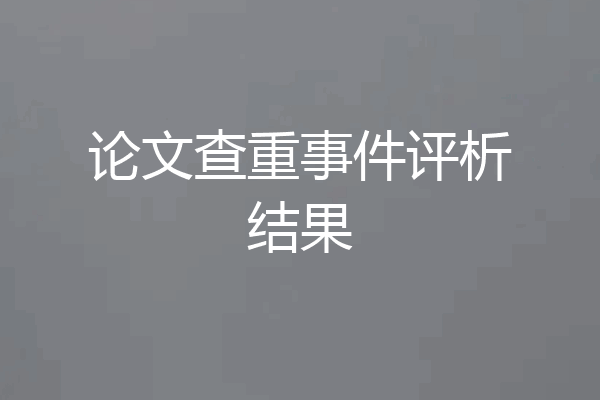 论文查重事件评析结果