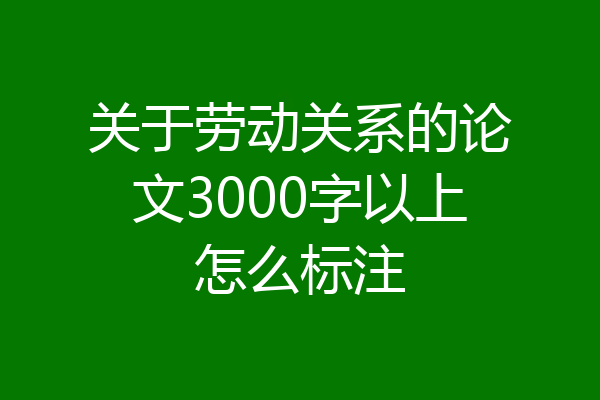 关于劳动关系的论文3000字以上怎么标注