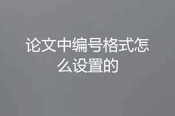论文中编号格式怎么设置的