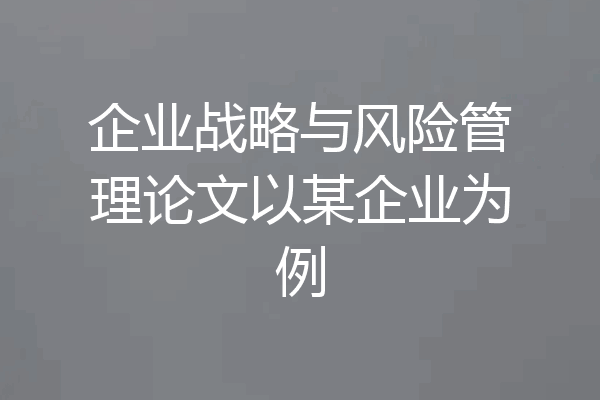 企业战略与风险管理论文以某企业为例