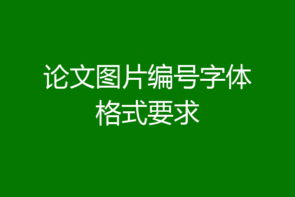 论文图片编号字体格式要求