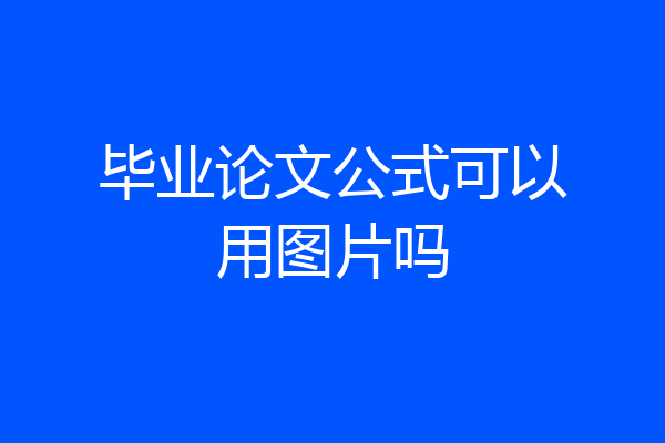 毕业论文公式可以用图片吗