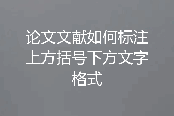 论文文献如何标注上方括号下方文字格式
