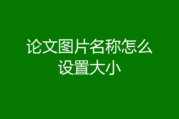 论文图片名称怎么设置大小