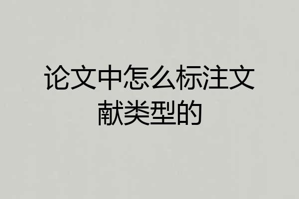 论文中怎么标注文献类型的