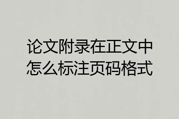 论文附录在正文中怎么标注页码格式