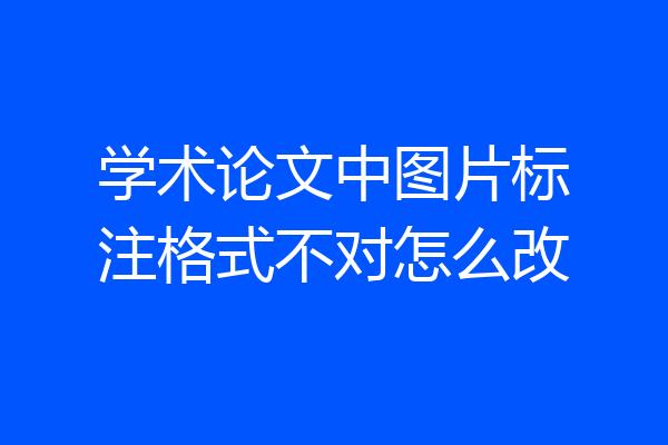 学术论文中图片标注格式不对怎么改