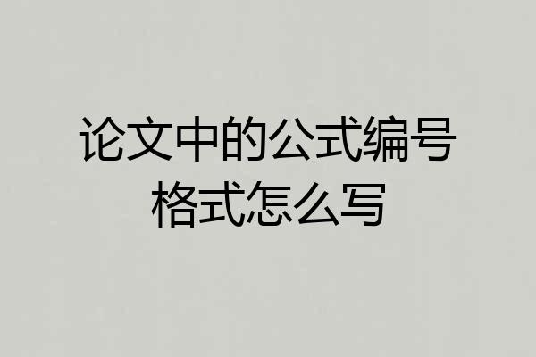 论文中的公式编号格式怎么写
