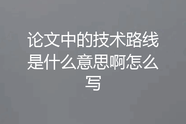 论文中的技术路线是什么意思啊怎么写