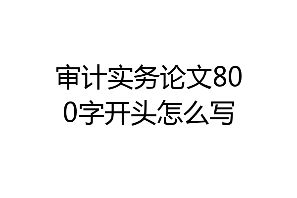 审计实务论文800字开头怎么写