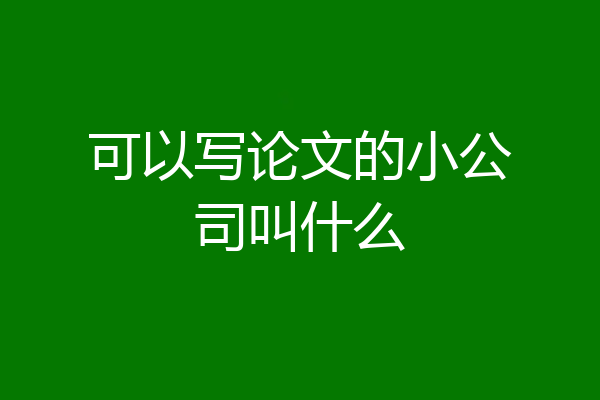 可以写论文的小公司叫什么