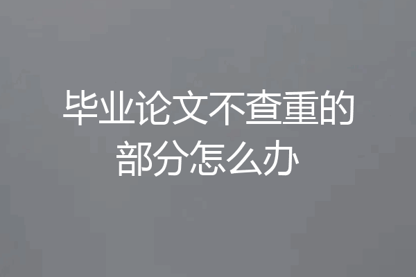毕业论文不查重的部分怎么办
