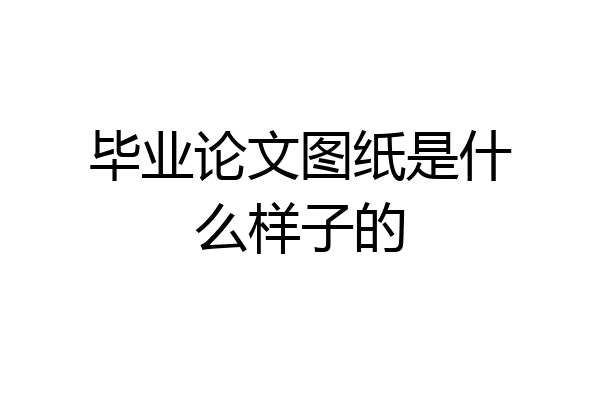 毕业论文图纸是什么样子的