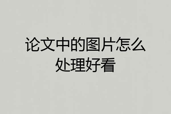 论文中的图片怎么处理好看