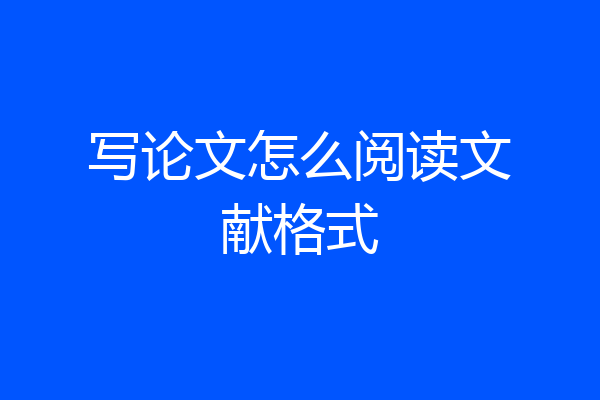 写论文怎么阅读文献格式