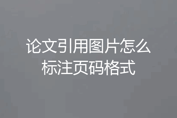 论文引用图片怎么标注页码格式