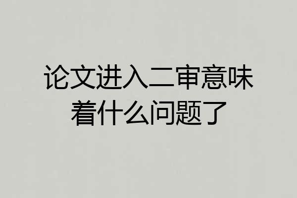 论文进入二审意味着什么问题了