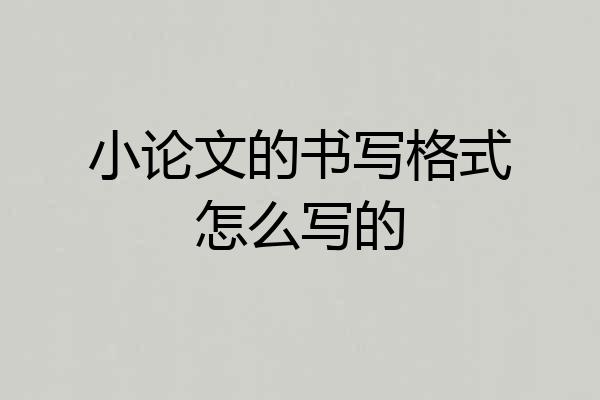小论文的书写格式怎么写的