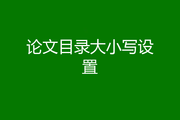 论文目录大小写设置